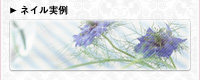 �l�C������