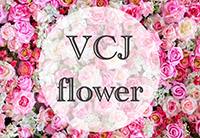 vcj